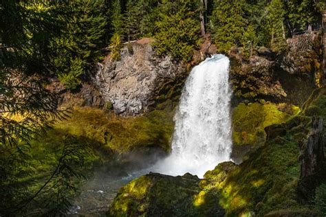 Exploring the Sahalie and Koosah Falls Hiking Loop