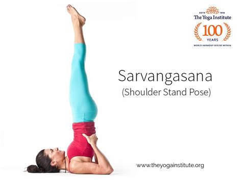 How To Do Sarvangasana Check Steps Precautions And Benefits Shoulder