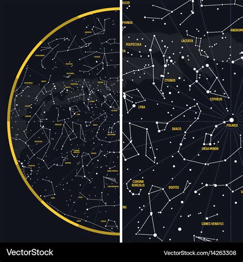 Night sky with constellations Royalty Free Vector Image