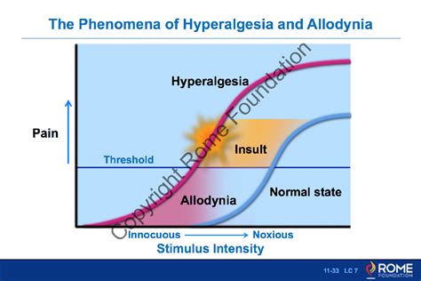 Bowel 033 The Phenomena Of Hyperalgesia And Allodynia Rome Online