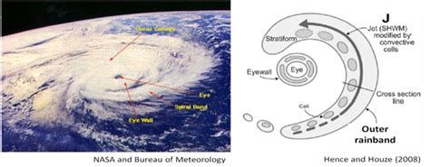 Parts Of A Cyclone Diagram