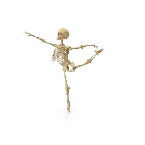 A GAY SKELETON In Skeleton Ballet Memes