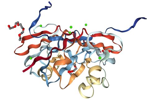 Nkp30 Ncr3 Protein Overview Sino Biological