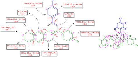 ¹h And ¹³c Nmr Chemical Shifts And Selected Hmbcs Of 4n Download