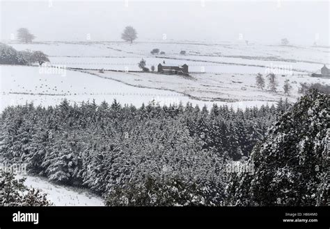 An Old Farm House In Hamsterley Forest In County Durham As A Blizzard