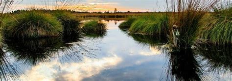 Deutscher Bauernverband e V Aktionsprogramm Natürlicher Klimaschutz