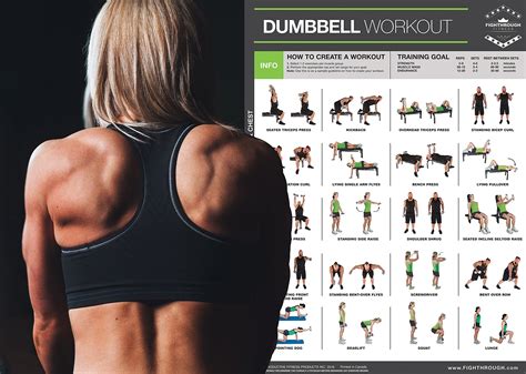 Dumbbell Exercises Laminated Poster Chart Strength Training Core