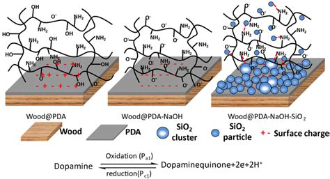 Coatings Free Full Text Fabrication Of Superhydrophobic Wood