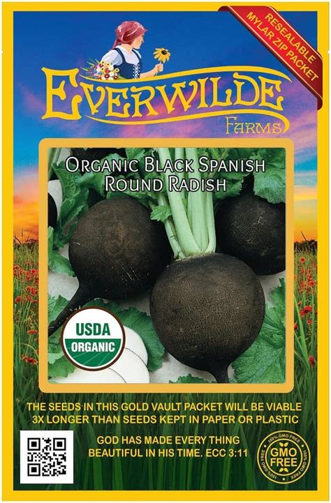 Amazon Everwilde Farms 250 Organic Black Spanish Round Radish