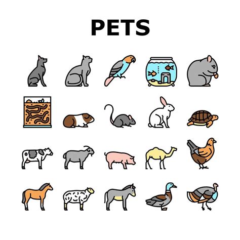 Pets Domestic Animal Collection Icons Set Vector 10299950 Vector Art at ...