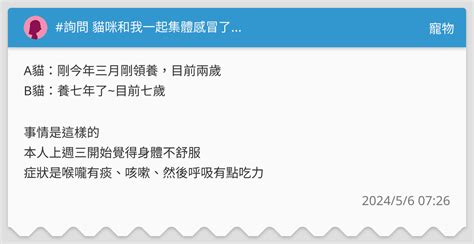 詢問 貓咪和我一起集體感冒了 寵物板 Dcard