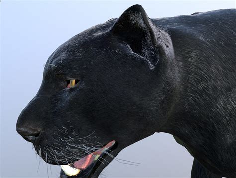 D Model Panther Lowpoly Animation Vr Ar Low Poly Rigged Animated