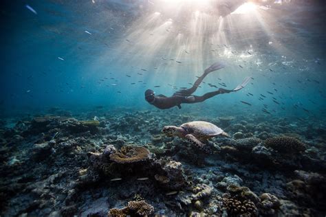 ENJOY FREEDIVING COURSES AT DUSIT THANI MALDIVES – Travel for Senses