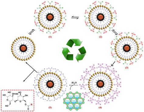 Synthesis And Characterization Of A Lactose Based Biosurfactant By A