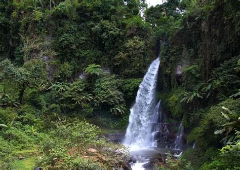 Menikmati Keajaiban Alam Curug Orok Di Garut Pesona Keindahan Alam