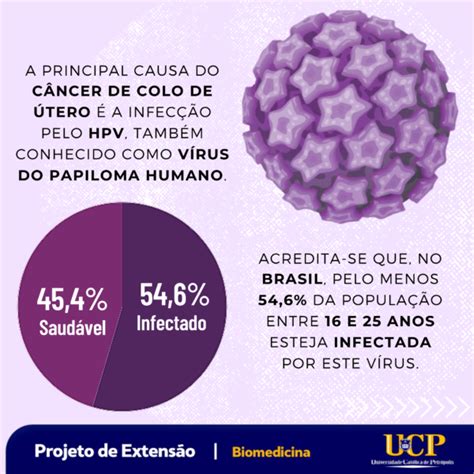 Infecção Por Hpv E Câncer De Colo De útero Universidade Católica De