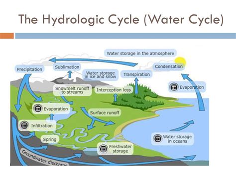 Objective Understand The Levels Of Ecological Organization And