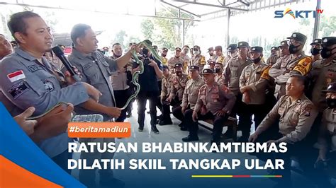 Madiun Ratusan Bhabinkamtibmas Dilatih Skiil Tangkap Ular Youtube