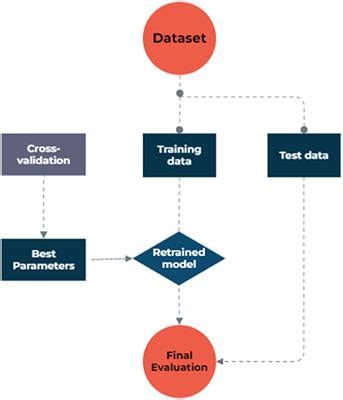 Frontiers Machine Learning Based Classifiers To Predict Metastasis In