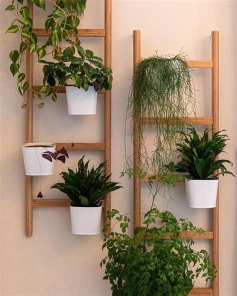 23 Creative And Modern Indoor Plant Wall Ideas Best Mystic Zone