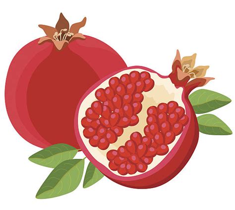 Pomegranate Clipart & Pomegranate Clip Art Images - HDClipartAll