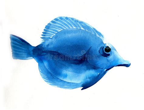 Blue tropical fish stock illustration. Illustration of sketch - 112406968