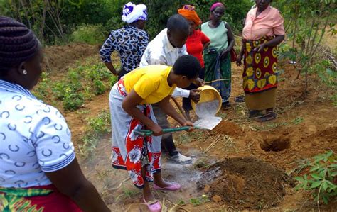 Flicker Of Hope Empowers Women Farmers To Implement Agroforestry — Rockflower