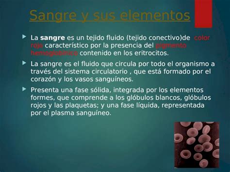 PPT Sangre Y Sus Elementos La Sangre Es Un Tejido Fluido Tejido