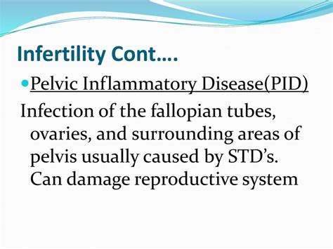 The Female Reproductive System Ppt Download