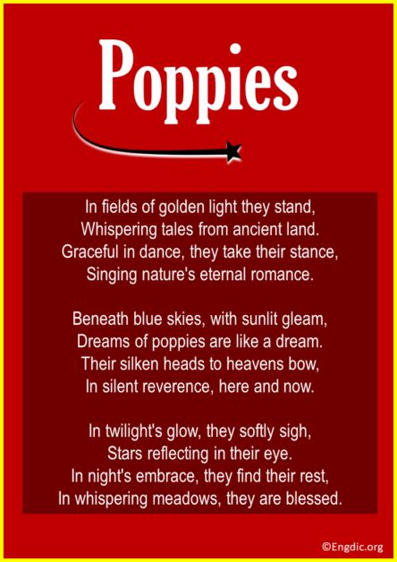 10 Best Refreshing Poems About Poppies EngDic