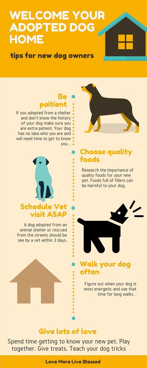 Tips For Adopting A Dog - Important Things To Know Before Adopting A ...