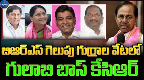 KCR Focus On Four Candidates For Lok Sabha Poll KCR BRS Party MP