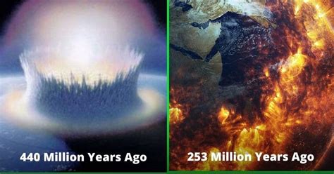 Five Mass Extinction Events In Earth S History That Wiped Off Most Life