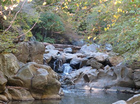 Northwest Branch Park Hiking Trails in Silver Spring, Maryland - Kid ...