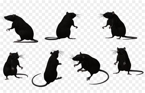 Free Rat Silhouette Png Download Free Rat Silhouette Png Png Images