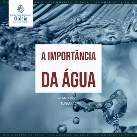 Reda O Sobre A Importancia Da Agua Braincp