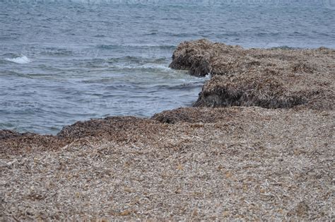 The beach in Trapani 5388908 Stock Photo at Vecteezy