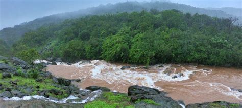 Bhimashankar Trek | Treks and Trails India