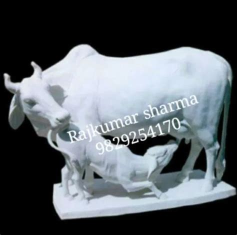 Marble Cow And Calf Statue At Rs Dukan Jhotwara Kalwar Road