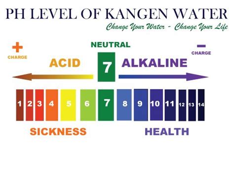 Kangen Water Machine and Water Ionizer Machine Distributor in Delhi NCR