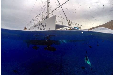 DELUXE Molokini Catamaran