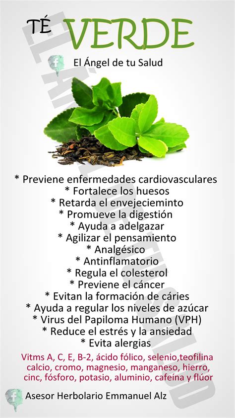 Beneficios Del TÉ Verde Plantasmedicinales Emmanuelalz TÉverde