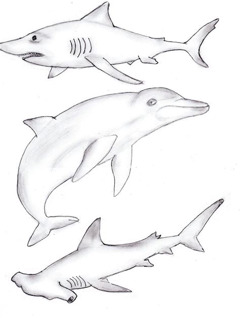 Sea Creatures Drawing at GetDrawings | Free download