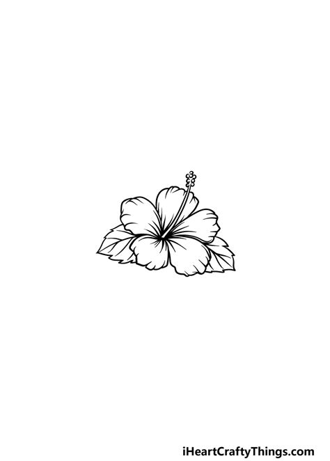 Easy Draw Hawaiian Flowers | Best Flower Site