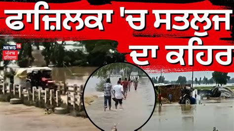 Fazilka ਚ Sutlej ਦਰਿਆ ਦਾ ਕਹਿਰ Fazilka News Punjab Floods Sutlej