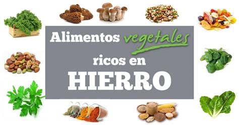 Cómo Optimizar La Absorción De Hierro En La Dieta Vegetariana Blog