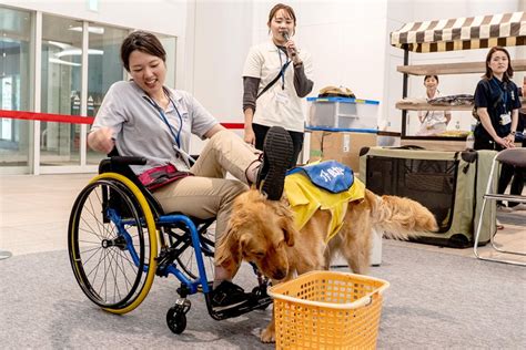 田町でほじょ犬の日イベントが開催されました！ 田町新聞