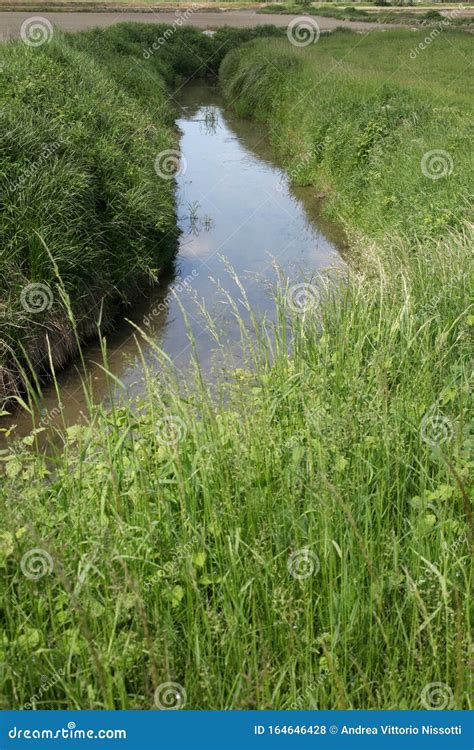 Agriculture Irrigation Canal Full Of Water With Grass Field Stock Photo