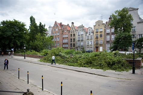 W Centrum Gda Ska Wyci To Szpaler Drzew Zamiast Nich Powstanie Kamienica