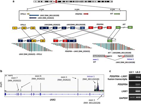 Complex Gene Fusion Events In The Pdgfra Gene Region In Chromosome 4 In